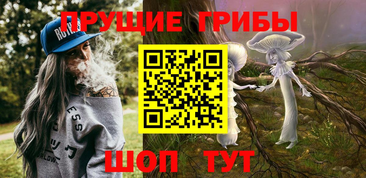 Галлюциногенные грибы ЛСД  Вход с VPN  Черкесск  Галлюциногенные грибы ЛСД 